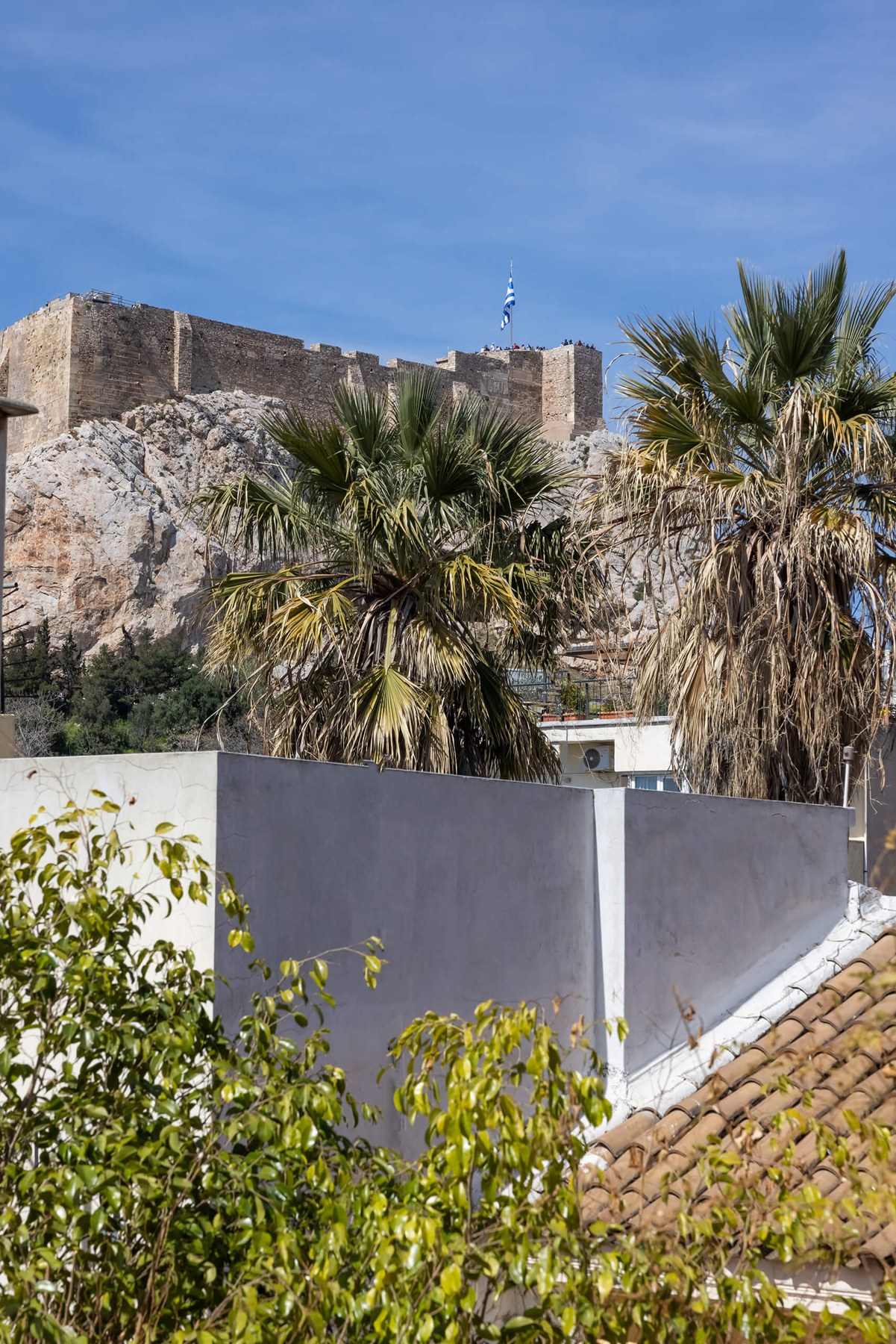 Athens Villa 1 - photograph 4